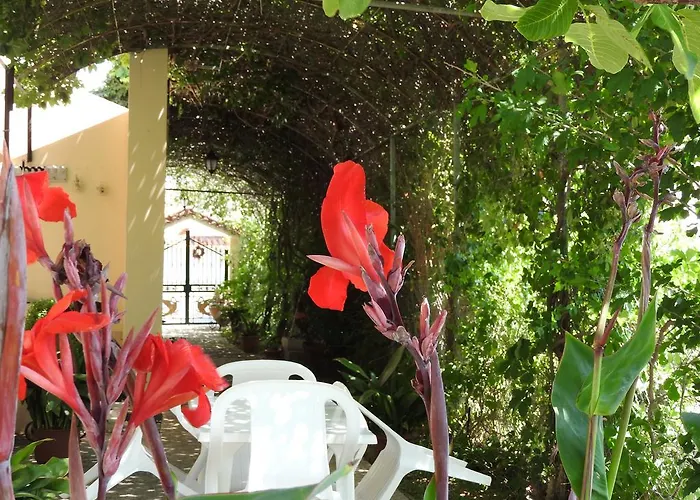 Skala Eresos Paradise Studios
