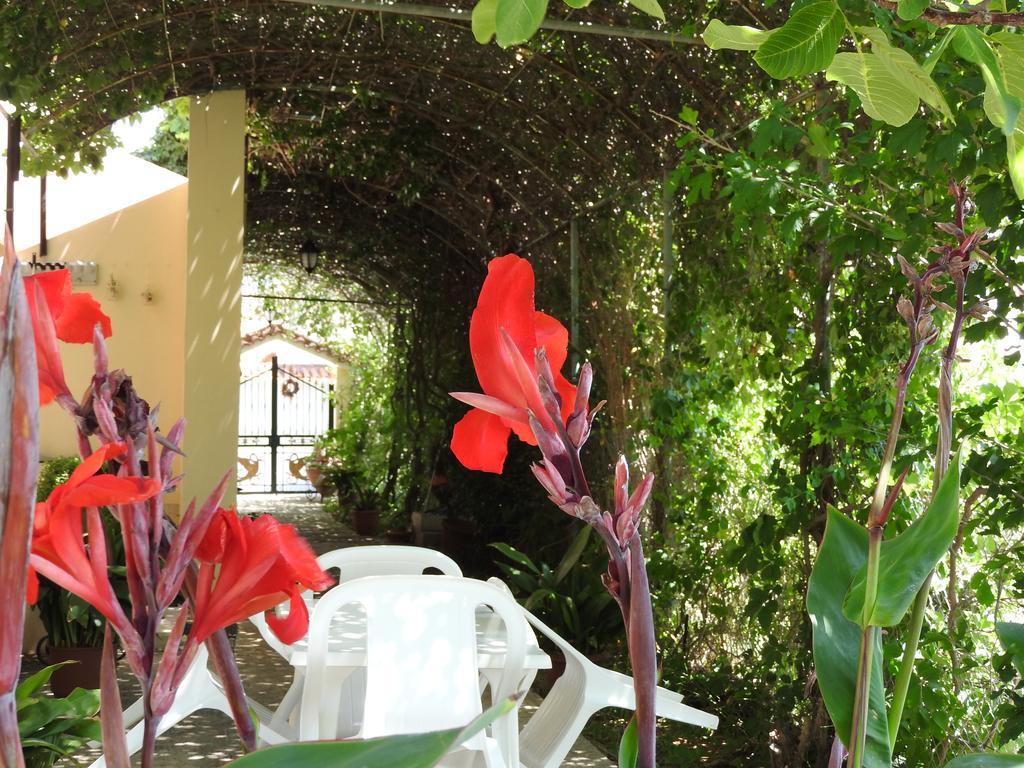 Skala Eresos Paradise
