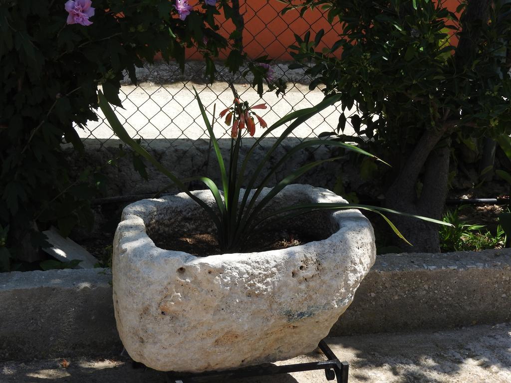 Skala Eresos Paradise